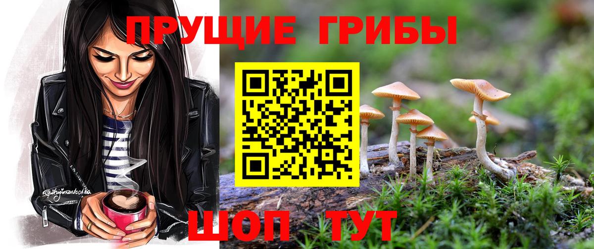 Псилоцибиновые грибы MAGIC MUSHROOMS  Вход с VPN  Ногинск  Галлюциногенные грибы GOLDEN TEACHER 